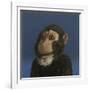 Andy Monkey, 2017,-Peter Jones-Framed Giclee Print