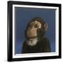 Andy Monkey, 2017,-Peter Jones-Framed Giclee Print