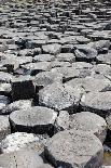 Giants Causeway-Andy Poole-Photographic Print