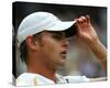 Andy Roddick-null-Stretched Canvas