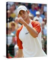 Andy Roddick-null-Stretched Canvas