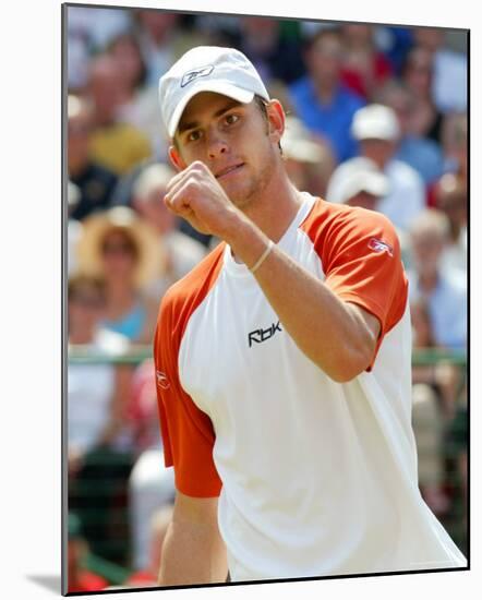 Andy Roddick-null-Mounted Photo