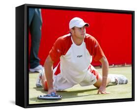 Andy Roddick-null-Framed Stretched Canvas