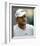 Andy Roddick-null-Framed Photo