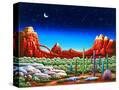 Stretched Canvas