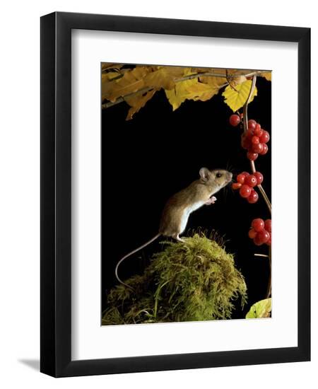 Premium Photographic Print, , large