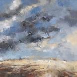 The Sky Waved So I Waved Back-Andy Waite-Giclee Print