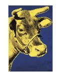 Cow, c.1971 (Blue and Yellow)-Andy Warhol-Art Print