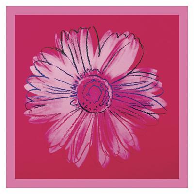 Andy Warhol Flower Posters & Wall Art Collection | Iconic