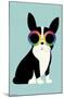 Andy Westface - Boston Terrier Work Hard-Trends International-Mounted Poster