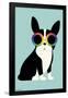 Andy Westface - Boston Terrier Work Hard-Trends International-Framed Poster