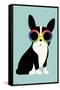 Andy Westface - Boston Terrier Work Hard-Trends International-Framed Stretched Canvas