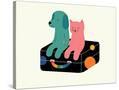 Stretched Canvas