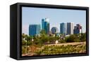 Canvas Black
