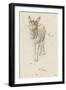 Âne-Charles Le Brun-Framed Premium Giclee Print