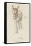 Âne-Charles Le Brun-Framed Stretched Canvas