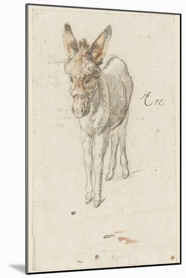 Âne-Charles Le Brun-Mounted Giclee Print