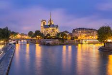 View of Notre Dame De Paris and its Flying Buttresses across the River Seine at Blue Hour, Paris-Aneesh Kothari-Stretched Canvas