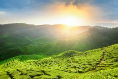 Rice Fields on Terraced of Mu Cang Chai, Yenbai, Rice Fields Prepare the Harvest at Northwest Vietn-anekoho-Photographic Print