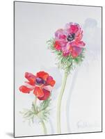 Anemone, 1998-Izabella Godlewska de Aranda-Mounted Giclee Print