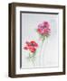 Anemone, 1998-Izabella Godlewska de Aranda-Framed Giclee Print