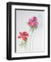 Anemone, 1998-Izabella Godlewska de Aranda-Framed Giclee Print