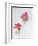 Anemone, 1998-Izabella Godlewska de Aranda-Framed Giclee Print