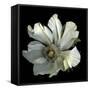 Anemone 2-Magda Indigo-Framed Stretched Canvas