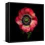 Anemone 3-Magda Indigo-Framed Stretched Canvas