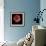 Anemone 3-Magda Indigo-Framed Photographic Print displayed on a wall