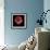 Anemone 3-Magda Indigo-Framed Photographic Print displayed on a wall