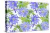 Anemone Blue-Cora Niele-Stretched Canvas