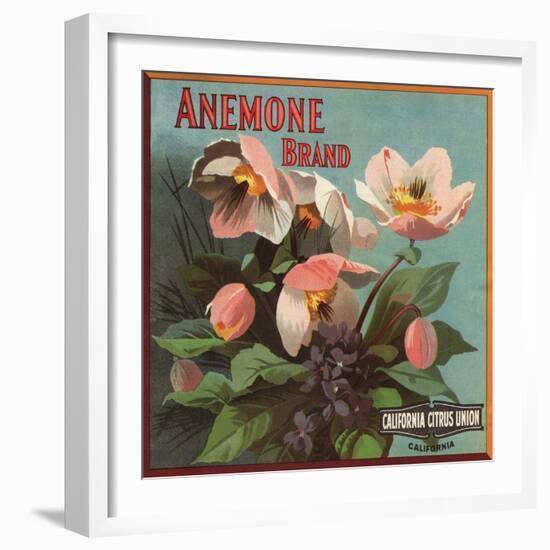 Anemone Brand - California - Citrus Crate Label-Lantern Press-Framed Art Print