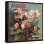 Anemone Brand - California - Citrus Crate Label-Lantern Press-Framed Stretched Canvas