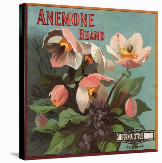Anemone Brand - California - Citrus Crate Label-Lantern Press-Stretched Canvas