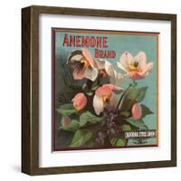 Anemone Brand - California - Citrus Crate Label-Lantern Press-Framed Art Print