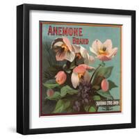 Anemone Brand - California - Citrus Crate Label-Lantern Press-Framed Art Print