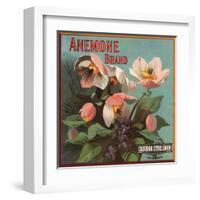 Anemone Brand - California - Citrus Crate Label-Lantern Press-Framed Art Print