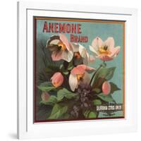 Anemone Brand - California - Citrus Crate Label-Lantern Press-Framed Art Print