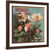 Anemone Brand - California - Citrus Crate Label-Lantern Press-Framed Art Print