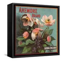 Anemone Brand - California - Citrus Crate Label-Lantern Press-Framed Stretched Canvas