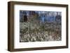 Anemone Forest-Heidi Westum-Framed Photographic Print