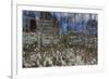 Anemone Forest-Heidi Westum-Framed Photographic Print