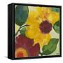 Anemone Garden 1-Kim Parker-Framed Stretched Canvas