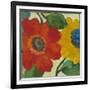 Anemone Garden 2-Kim Parker-Framed Giclee Print