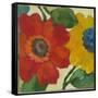 Anemone Garden 2-Kim Parker-Framed Stretched Canvas