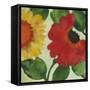 Anemone Garden 3-Kim Parker-Framed Stretched Canvas