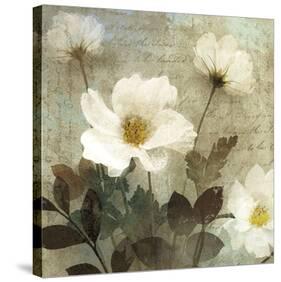 Anemone I-Keith Mallett-Stretched Canvas