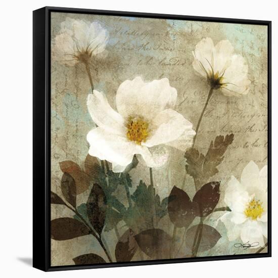 Anemone I-Keith Mallett-Framed Stretched Canvas