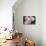 Anemone II-Erin Berzel-Photographic Print displayed on a wall